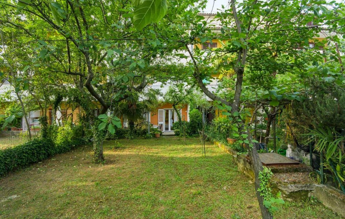 Apartman Miro Apartment
